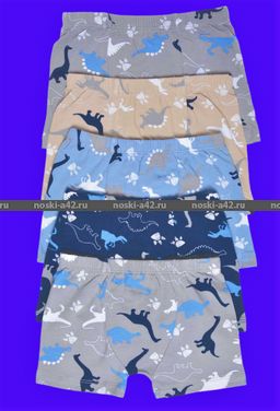 Цена за 5 шт. Боксеры для мальчиков Турция арт. 41433 (41133, 41050) 5 (8-9 лет) - For you фото 6