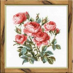 1046 Садовые розы