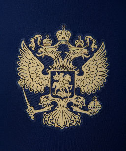 Шорты игровые Jogel NATIONAL PerFormDRY Away Shorts, темно-синий  фото 2