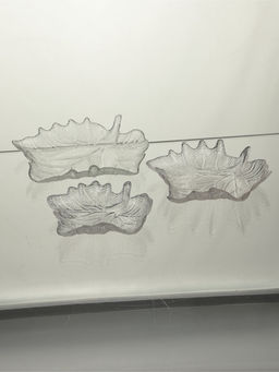 Набор блюд "Кленовый лист" 24х26х4 см, прозрачные