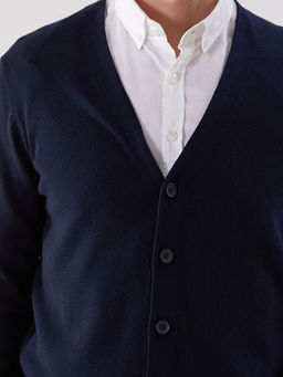 Standart Kal?p V Yaka Erkek Triko H?rka