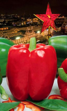 Перец КРАСНАЯ ЗВЕЗДА F1  Толстые стенки! Обильно урожайный! Необыкновенно вкусный, откусив  не возможно остановиться! Ароматный!