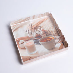 Цена за 5 шт. Коробка для печенья, кондитерская упаковка с PVC крышкой, «Уютный вечер», 21 х 21 х 3 см