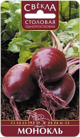 Свекла столовая Монокль