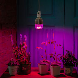 LED-M80-20W/SP/E27/CL ALS55WH Лампа светодиодная для растений, IP54. Форма "M", прозрачная колба. Материал корпуса алюминий. Упаковка картон.