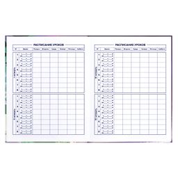 Дневник школьный 5-11 класс арт. 60135 КЕДЫ - Феникс+ фото 8