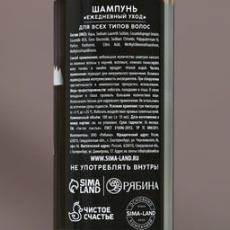 Подарочный набор новогодний мужской «Успехов в году»: гель для душа и шампунь для волос, 2×100 мл, Чистое счастье