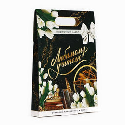 Подарочный набор, ежедневник А5, 80 л., стикеры, ручка «Любимому учителю»