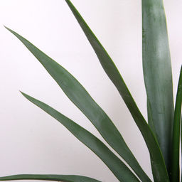 Дерево искусственное "Пальма Юкка" 100см в горшке