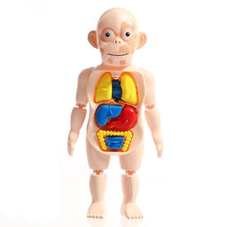 Набор для опытов Научный набор, 3в1 - Эврики фото 4