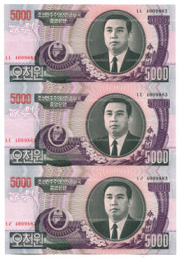 5000 вон 2006 года Северная Корея Лист из трех банкнот