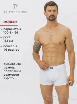 Трусы-шорты мужские МОДАЛ PMH-638 - Pantelemone фото 2