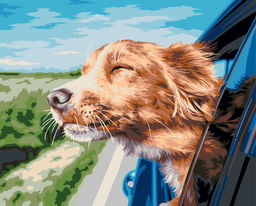 ФРЕЯ PNB/PL-361 Набор для раскрашивания по номерам 50 х 40 см Поездка на дачу