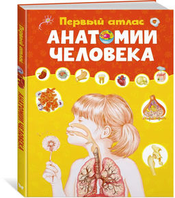 Первый атлас анатомии человека. Барсотти Э.