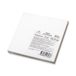 Картон грунтованный VISTA-ARTISTA PKR-1010 10 х 10 см 6 шт. набор