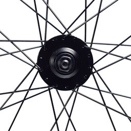 Колесо велосипедное 20" заднее в сборе, алюминий, под трещ, диск 6-болт, без гаек