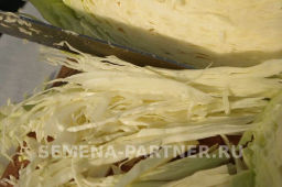 Капуста белокочанная позднеспелая Орион - Партнер фото 7