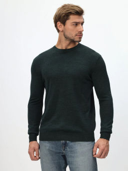 Джемпер мужской GREG G121-CT 205438 (зелёный)