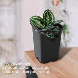 Цена за 2 шт. Горшок для рассады, 7 л, 21×21×27.5 см, чёрный