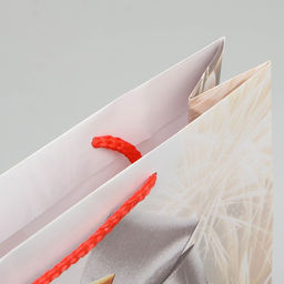 Пакет ламинированный вертикальный Праздник для тебя, L 28 38 9 см - Доступные радости фото 3