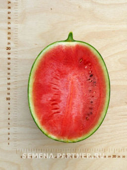 Арбуз Кубок Огня - Партнер фото 5