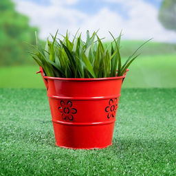 Цена за 2 шт. Кашпо «Ведёрко Леви», 10×10×10 см, красное