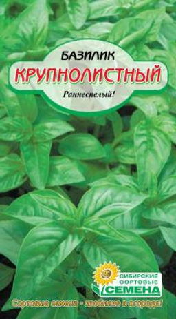 Крупнолистный базилик 0,5гр (ссс)