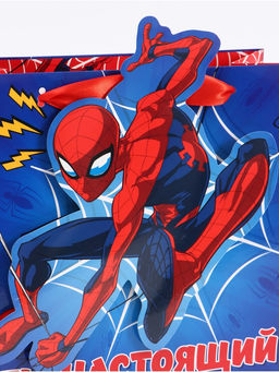 Цена за 2 шт. Пакет подарочный «Супергерой», 22 × 22 × 10 см