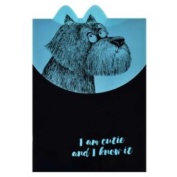 Папка для школьных тетрадей пластиковая арт. 60451/ 12 КРЭЙЗИ ПЕС