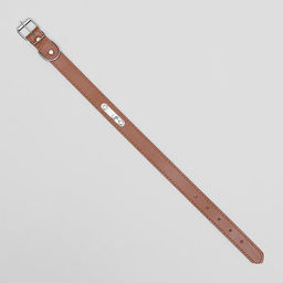 Ошейник из искусственной кожи с шильдом под гравировку, 52 х 2,5 см, ОШ 35-45 см, коричневый - Пижон фото 3