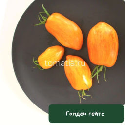 Голден Гейтс