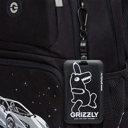RB-653-2 Рюкзак школьный с обвесом и картхолдером на держателе - Grizzly фото 32