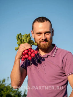 Редис Мечта Алисы F1