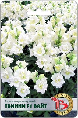 Антирринум махровый F1 Твинни Вайт