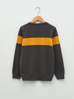 Bisiklet Yaka Desenli Uzun Kollu Erkek ?ocuk Triko Kazak - Waikiki фото 2