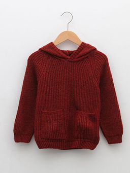 Kap??onlu Uzun Kollu Erkek Bebek Triko Kazak - Waikiki фото 2