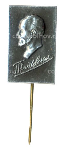 Значок П. Чайковский