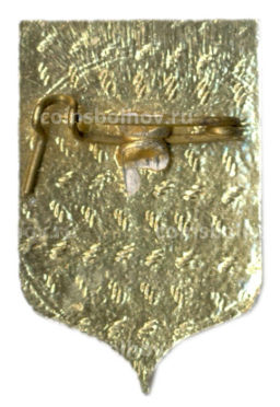 Значок Киров