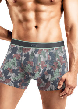 Трусы мужские шорты Скейтпарк - Clever wear фото 2