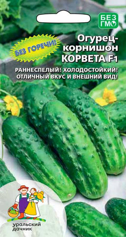 Огурец КОРВЕТА F1 Без горечи! Раннеспелый! Холодостойкий! Отличный вкус и внешний вид!