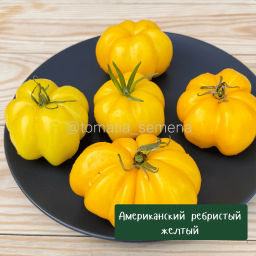 Американский ребристый желтый