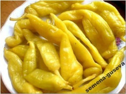 Перец Бочковой  Golden Yellow Wax