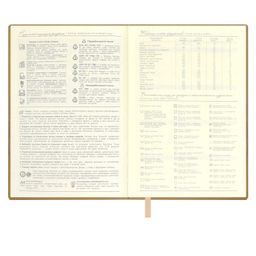 Ежедневник недатированный ESCALADA, А6+, 160 л., арт. 64220/ 20 КРОКО МЕТАЛЛИК ЗОЛОТОЙ  фото 5