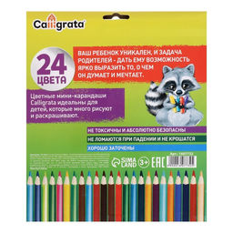 Карандаши 24 цвета, шестигранные, в картонной коробке - Calligrata фото 4