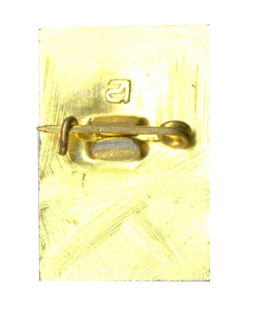 Значок Петродворец