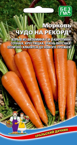Морковь ЧУДО НА РЕКОРД  взрыв из витаминов и каротина! Сочная, хрустящая! Хранится до нового урожая!