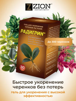 ЦИОН РАДИГРИН (Оранжевый)