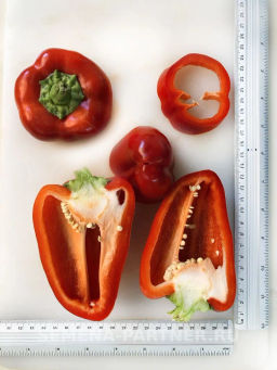 Перец сладкий Регор - Партнер фото 5