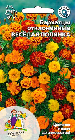 Бархатцы ВЕСЁЛАЯ ПОЛЯНКА