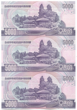 5000 вон 2006 года Северная Корея  Лист из трех банкнот
